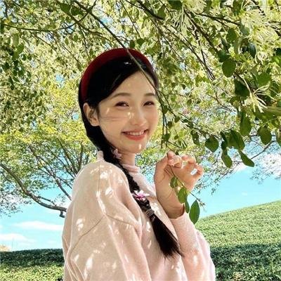 松树街的那幢房子
